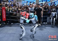 从好玩到好用 全球机器人北京论“智”