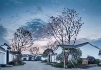 常州绿城江南潮鸣售楼处电话常州绿城江南潮鸣售楼中心首页网站楼盘百科详情24小时热线电话