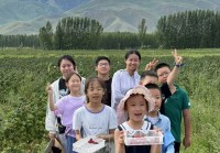 暑期研学热路线怎么选？家长老师这么说