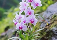 做人要正办事要稳心态要好姿态要低