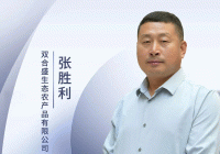 长城新媒体集团2024年度社会责任报告