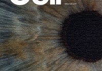 重磅！我国医学+AI研究成果首登《Cell》杂志