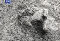 【8点见】山东高密事故致5人死亡6人失联