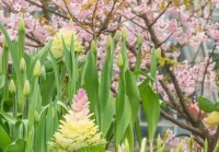 2025重庆六一儿童节活动(持续更新)