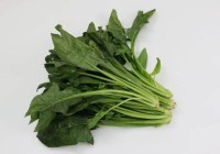 三伏天养生多吃菠菜身体竟会收获这么多好处?女性朋友可别错过