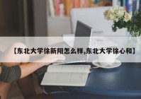 【东北大学徐新阳怎么样,东北大学徐心和】
