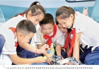 聚焦课内外“两个课堂”推进大中小学科学教育一体化齐鲁杏坛种出“科技树”！