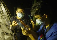 立足真实情境 让科学教育更“鲜活”