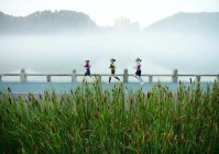 三伏天千万别做这5件事很多人以为在养生其实在“养病”!