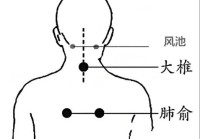 明天入伏夏季养生那些事儿