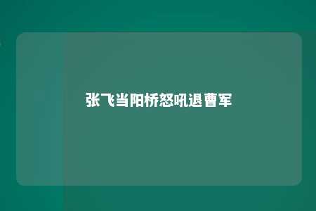 张飞当阳桥怒吼退曹军