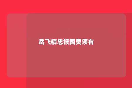 岳飞精忠报国莫须有