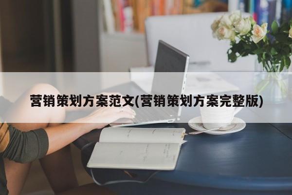 营销策划方案范文(营销策划方案完整版)