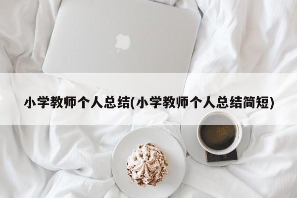 小学教师个人总结(小学教师个人总结简短)