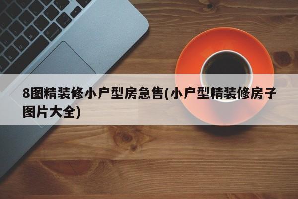 8图精装修小户型房急售(小户型精装修房子图片大全)