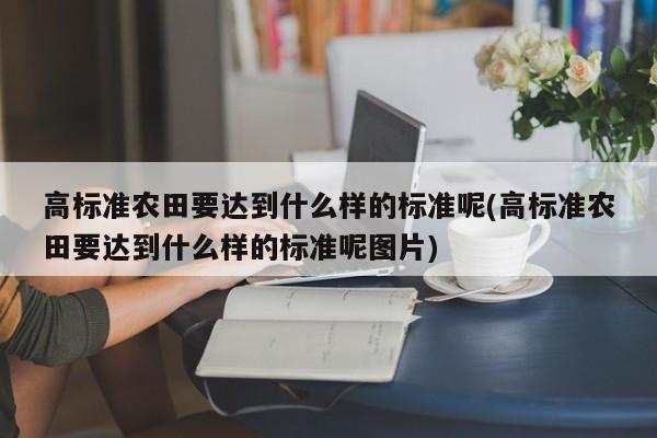 高标准农田要达到什么样的标准呢(高标准农田要达到什么样的标准呢图片)