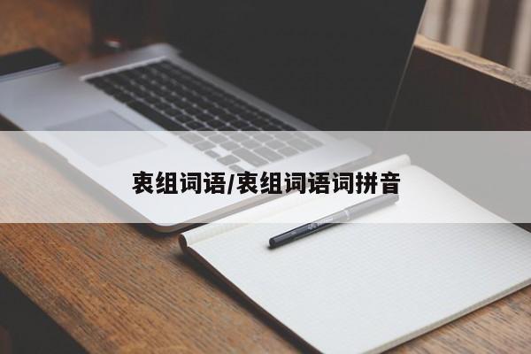 衷组词语/衷组词语词拼音