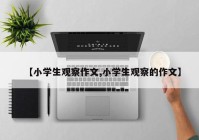 【小学生观察作文,小学生观察的作文】