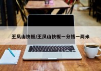 王凤山快板/王凤山快板一分钱一两米