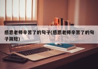 感恩老师辛苦了的句子(感恩老师辛苦了的句子简短)
