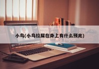 小鸟(小鸟拉屎在身上有什么预兆)