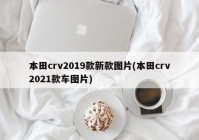 本田crv2019款新款图片(本田crv2021款车图片)