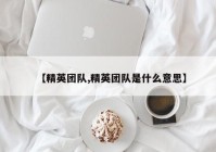 【精英团队,精英团队是什么意思】