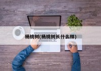 杨桃树(杨桃树长什么样)