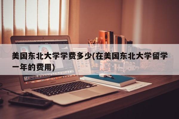 美国东北大学学费多少(在美国东北大学留学一年的费用)