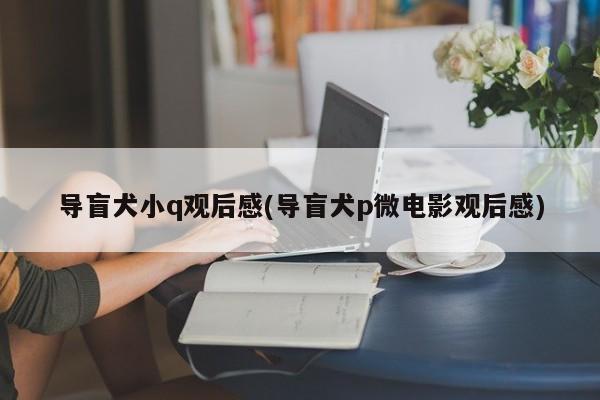 导盲犬小q观后感(导盲犬p微电影观后感)