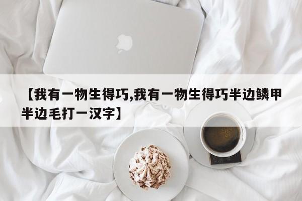 【我有一物生得巧,我有一物生得巧半边鳞甲半边毛打一汉字】