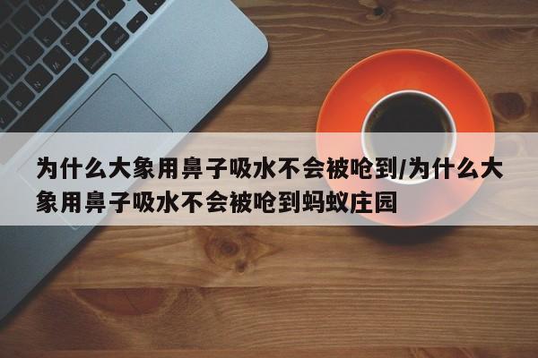 为什么大象用鼻子吸水不会被呛到/为什么大象用鼻子吸水不会被呛到蚂蚁庄园
